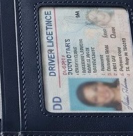 Transit Passport Folio — detail view