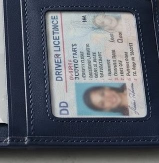 Transit Passport Folio — alternate view